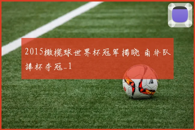 2015橄榄球世界杯冠军揭晓 南非队捧杯夺冠_1