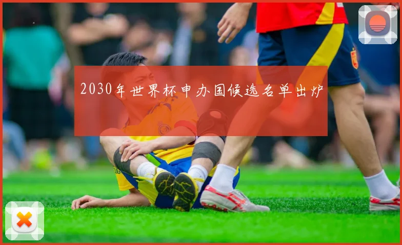2030年世界杯申办国候选名单出炉